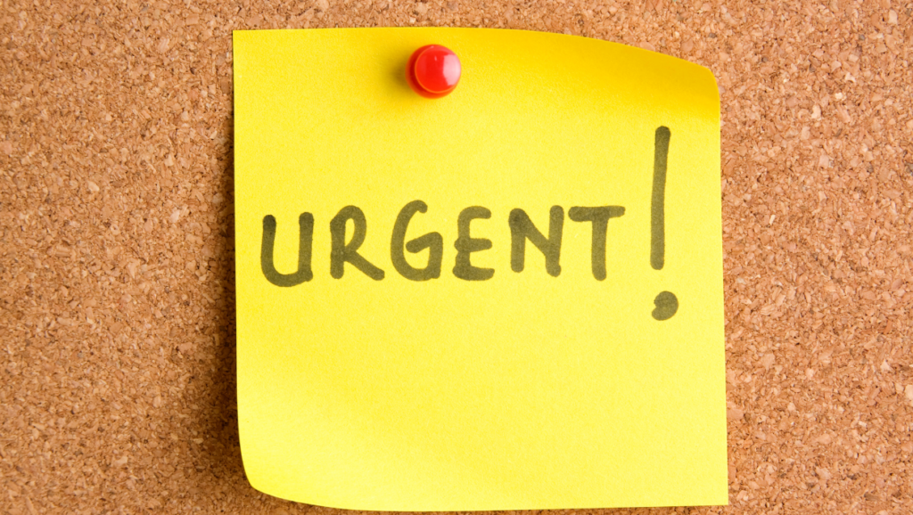 Urgent: Check Your Website, PHP Security Update